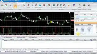 VertexFX Client Side VTL Indicator: Price Action