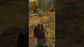 Elden Ring - practice parry Black knife assassin