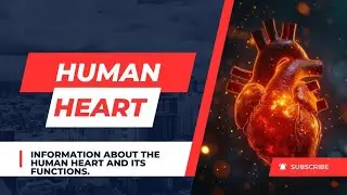 Information About The Human Heart And It's Function (हिंदी/English)................