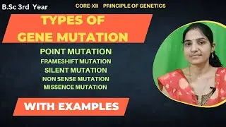 Types Of Gene Mutations (Classification) B.Sc 3rd year||Point & Frame Shift Mutation  #genemutation
