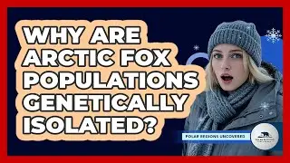 Why Are Arctic Fox Populations Genetically Isolated? - Polar Regions Uncovered