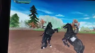 Jorvik Friesian rear in Druid Paddock with ex Metal Queens member Diana Goldriver!