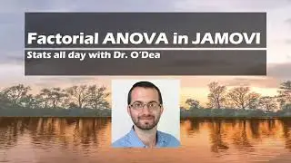 Understanding and reporting statistics : Factorial ANOVA