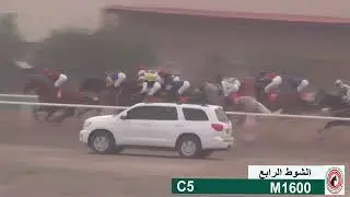 الفاتح  \ اسطبل الزعبي