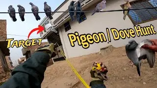 Silent Hunt, Perfect Shot &ndash; Pigeon Hunting Like a Pro