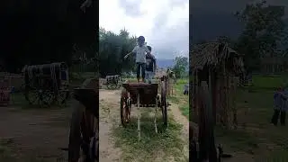Kollenkode