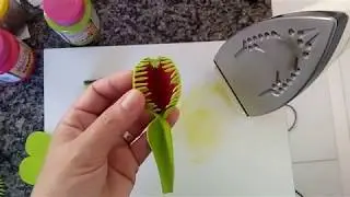 Planta Carnívora Dioneia de eva (nome científico Dionaea Muscipula)