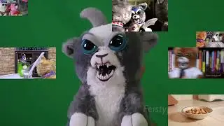 [Feisty Films] 