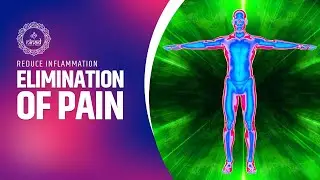 Complete Elimination Of Pain | Reduce Inflammation | Rapid Healing Of Injuries, Pain & Stiffness