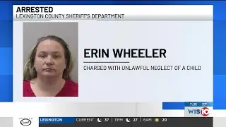 SC Whitmore School teacher arrested, charged with child neglect