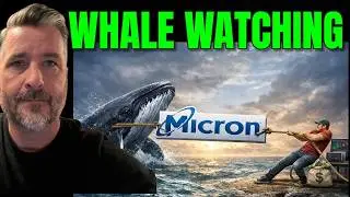 MICRON: Don&rsquo;t Let The Red Screen Fool You! (The Whale Play)