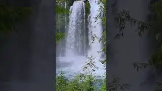 Serene Waterfalls and Lush Forests in the Morning Light