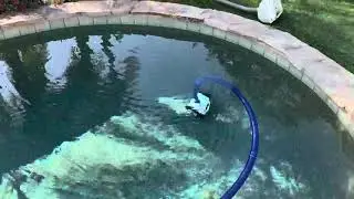 VINGLI Suction Pool Cleaner for In-Ground Pools