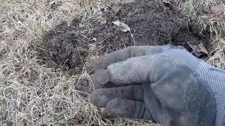 Straight Up Metal Detecting : 
