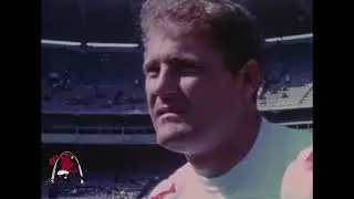 St. Louis Football Cardinals: Jackie Smith Highlights