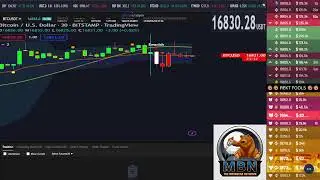 Bitcoin LIVE Trading Signals and Liquidation Watch