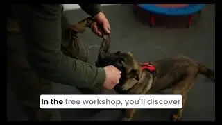 Online Dog Training - Free Course to introduce advanced and successful training techniques