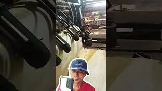 Unrelling faceback plywood di mesin continuous dryer 👌👌 #plywood #kayu #faceback