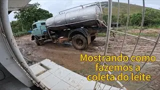 ficamos garrado 😳dia de muita chuva na coleta do leite 🚛🐄