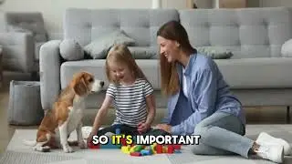 Why Beagles Make the Perfect Family Dog