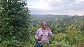 Kũregana na ũhoro wa  atĩ ndũngĩkoroga kaburi ya thoguo ya gukaguo ĩtarĩ ngoroge.