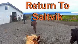 What's It Like To Return To Saltvik After A Horseback Ride ?   🇮🇸  🐴