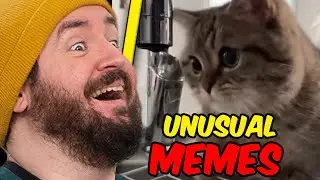 UNUSUAL MEMES COMPILATION V191 I Sturmwaffel REAGIERT
