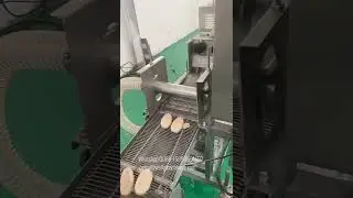 Meat patty making machine | Nuggets forming battering breading machine#pattymachine #chickennuggets