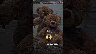 punjabi status video new teddy bear in punjabi love song new ##short #instagram #punjabi