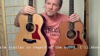 Taylor GS Mini vs. Taylor 214e