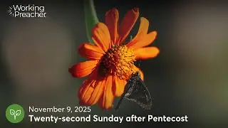 Sermon Brainwave 1051: Twenty-second Sunday after Pentecost - November 9, 2025