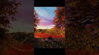 Fall Leaves