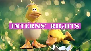 Interns' rights | Bitesized Employment Law Videos by Matt Gingell