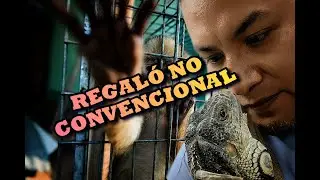 Why give an exotic pet as a gift?