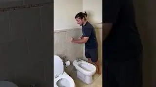 Traditional Bidet vs. Handheld Bidet