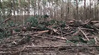Очистка двух акров для соседа