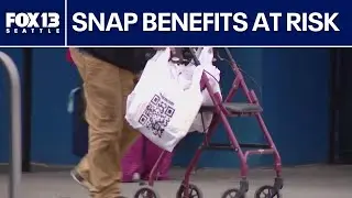 Looming SNAP benefit freeze forces Auburn, WA food bank to seek emergency help