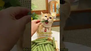 Thanh cỏ m&egrave;o Nota Pet: 'Bảo bối' 3 trong 1 cho sen v&agrave; miu! 🌿🦷 #notapetvn #thucung #ReviewSảnPhẩmM&egrave;o