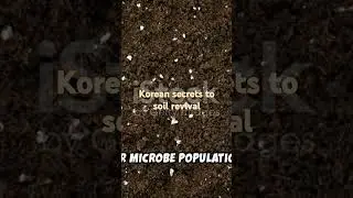 Watch and subscribe