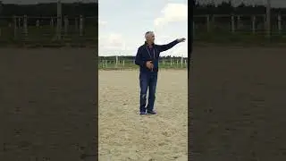 Stage & comp&eacute;tition &eacute;questre &ndash; R&eacute;alisation NF Prod