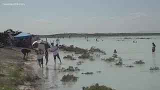 A West Texas desert oasis