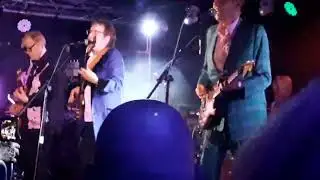 MUD tiger feet  worthing 18 12 25