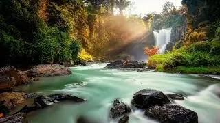 Calming Nature Sounds: Flowing Water & Serene Atmosphere