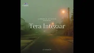 Tera Intezaar &ndash; Official Audio | S. Kashif | Lushwave Studios