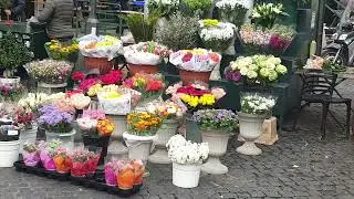 Campo de fiori 💐