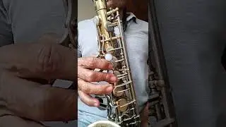 Saxofon Alto; Sergio el Bailador (#Bronco)