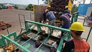 AI Automated Grading System (AGATE) - Accelego