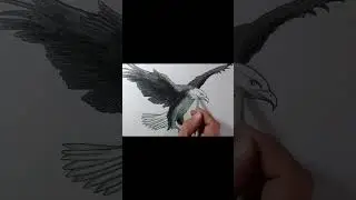 How to draw a Bald Eagle 🦅 with charcoal pencils ✏|How to draw a bird|