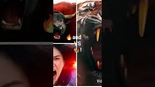 The Rules Of Fire Mountain VS Golden Fang