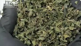 Cadillac Rainbow THCa Indoor Trim Wholesale 1LB by Hemp-Flower.com